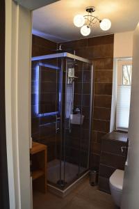 a bathroom with a glass shower with a toilet at chalet Zingst in Zingst