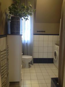 ソポトにあるApartament Perłowyのバスルーム(トイレ、鉢植えの植物付)
