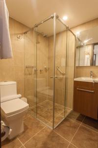 uma casa de banho com um chuveiro, um WC e um lavatório. em Hotel Plaza Carnaval em Pasto