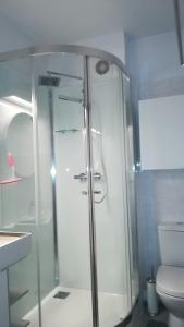 ミッデルケルケにあるDakstudio Met Reuze Zonneterrasのバスルーム(ガラス張りのシャワー、トイレ付)