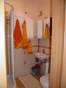 a bathroom with a shower and a sink and a toilet at Roman in Druskininkai +24 photos