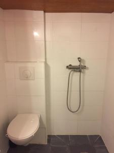 a bathroom with a toilet and a shower at Appartement Mimosa, tram 2, parking in Montpellier +26 photos