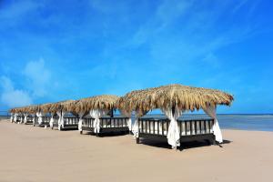 a row of beach chairs sitting on top of a sandy beach at Steigenberger Alcazar in Sharm El Sheikh