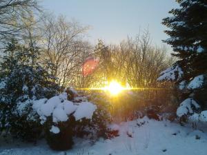 Το Sov Godt i Arnborg Bed & Breakfast τον χειμώνα
