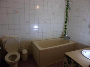 Gyerim Motel في تشنتشون: حمام مع حوض ومرحاض ومغسلة