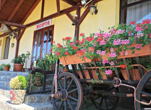 wózek z kwiatami wypełniony kwiatami przed budynkiem w obiekcie Pension Varadia w mieście Oradea