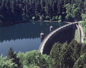 a bridge over a lake next to a forest at Pension Apartment Burscheid in Burscheid