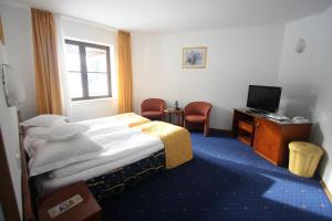 Un pat sau paturi într-o cameră la Hotel Ruia