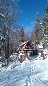 une cour enneigée avec une cabine dans les bois dans l'établissement Chata u sovicky Malino Brdo, à Ružomberok