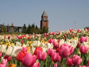 Gallery image of APA Hotel & Resort Sapporo in Sapporo