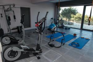 Γυμναστήριο ή/και όργανα γυμναστικής στο Villa Isidora