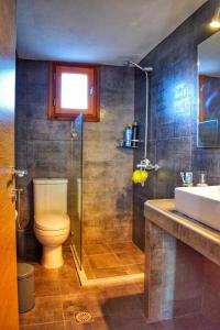 a bathroom with a toilet and a shower and a sink at Araucaria House in Skiathos