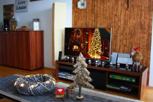 a living room with a tv and a christmas tree at Barbi Exclusive Apartment in Bad Mitterndorf