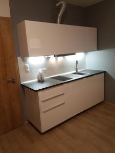 Kuchyň nebo kuchyňský kout v ubytování Apartmán NA SVAHU 3+KK, Dolní Morava