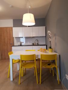 Kuchyň nebo kuchyňský kout v ubytování Apartmán NA SVAHU 3+KK, Dolní Morava