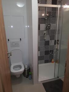 Koupelna v ubytování Apartmán NA SVAHU 3+KK, Dolní Morava + 34 fotografií