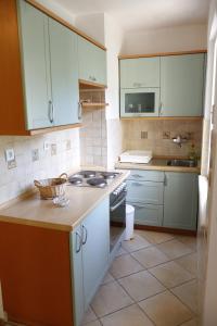 Kuchyň nebo kuchyňský kout v ubytování Apartment Marijana