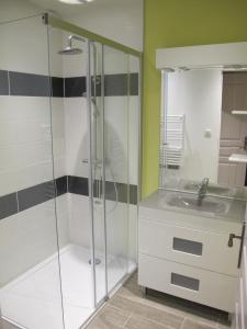 a bathroom with a shower and a sink at Les Victoriennes in Verdun-sur-Meuse