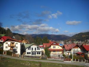 a group of houses with mountains in the background at Pension Paunasul in Buşteni