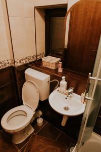 y baño con aseo y lavamanos. en Apartment T&T en Jahorina