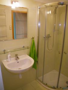 La salle de bains est pourvue d'un lavabo et d'une douche. dans l'établissement Apartmán u Aurory, à Třeboň