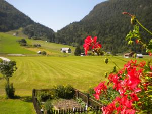 Loodusmaastik of the bed and breakfast lähedal