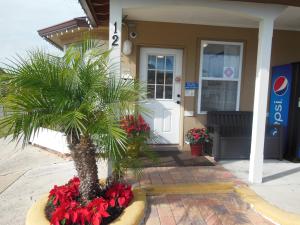 a palm tree in front of a building with red flowers at Budget Inn - Saint Augustine in Saint Augustine