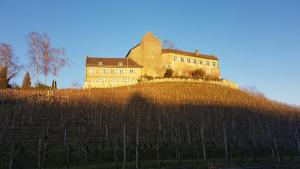 Fotografie z fotogalerie ubytování Hotel & Restaurant Schloss Schwandegg v destinaci Oberstammheim