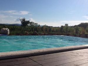 uma grande piscina de água azul com árvores ao fundo em Agriturismo La Segolina em Colle Val D'Elsa