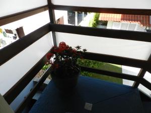 una maceta sentada en una mesa en un balcón en Residencial Pontal do Jurerê, en Florianópolis
