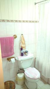 Un baño con un inodoro blanco y un lavabo. en Cabana Caburgua, en Caburgua