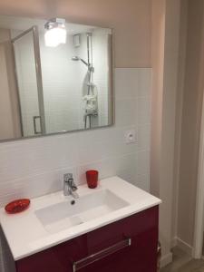 オンフルールにあるAppartement cosy dans le centre de Honfleurのバスルーム(白い洗面台、鏡付)