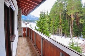 Príroda v okolí apartmánu