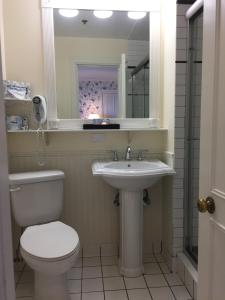 een badkamer met een toilet, een wastafel en een spiegel bij Stafford's Perry Hotel in Petoskey