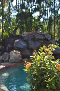 a swimming pool with a stone wall and some plants at Heritage Resort in Weipa