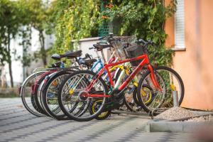 Jazda na bicykli v okolí ubytovania Adriatic Star
