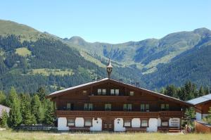a large wooden building with mountains in the background at Apartment Hölzlbauer in Krimml