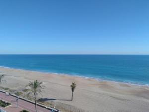 a view of a beach with palm trees and the ocean at Alpen1 Picasso in Peniscola