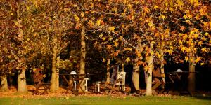 Fotografie z fotogalerie ubytování La Ermita de Deva v destinaci Deva