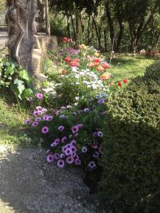Ogród w obiekcie L'Ecrin D'Osely