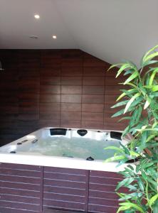 uma banheira de hidromassagem num quarto com paredes de madeira em Les GITES DE CAMPARAN - gîte "la BERGERIE AVEC SPA" em Camparan