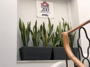 Kép 200 ROOMS & TERRACE szállásáról Bariban a galériában