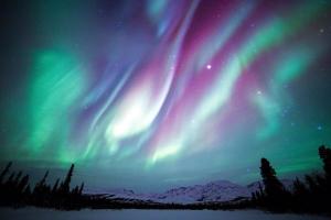 Fotografie z fotogalerie ubytování Sielikkö Aurora Log Apartments v destinaci Saariselka