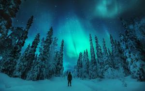 Fotografie z fotogalerie ubytování Sielikkö Aurora Log Apartments v destinaci Saariselka