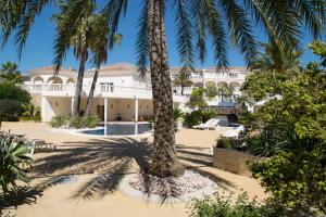 a palm tree in front of a building at Hotel Apartamento Residencia Parques Casablanca in Benissa
