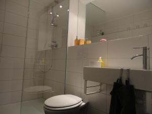 uma casa de banho com um WC, um lavatório e um chuveiro em Schönerferienwohnen in Bamberg em Bamberg
