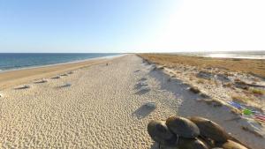 Afbeelding uit fotogalerij van Modern Golden Apartment in Cabanas de Tavira