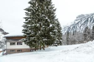 メラウにあるHaus Alpinaの建物前の雪に覆われた松