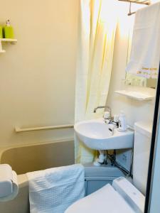 Koupelna v ubytování GreenHotel