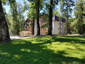 una casa en medio de un campo con árboles en Depto Parque Suizo 800, en Pucón